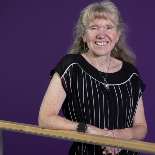 A picture of board member Dr Carol Evans